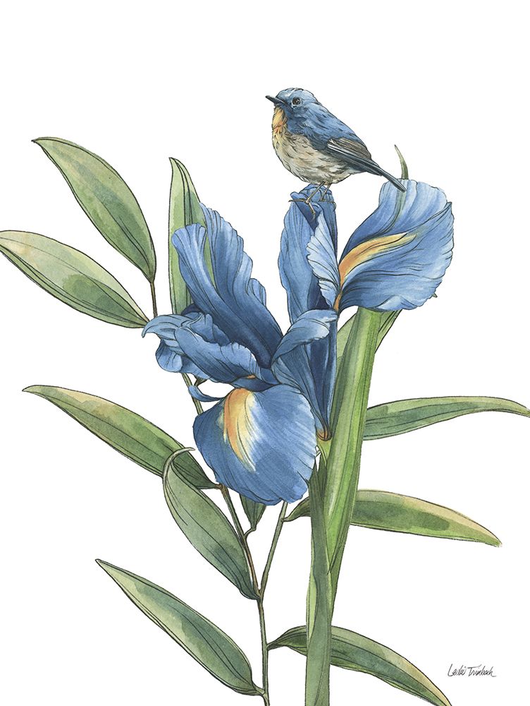 Blue Botanica VIII art print by Leslie Trimbach for $57.95 CAD
