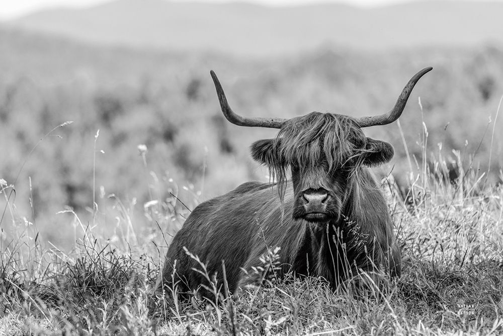 Meadow Guardian II art print by Nathan Larson for $57.95 CAD