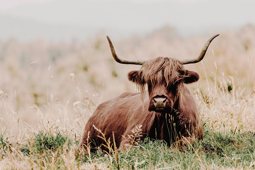 Meadow Guardian III art print by Nathan Larson for $57.95 CAD