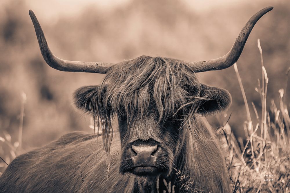 Highland Meadow Portrait Sepia art print by Nathan Larson for $57.95 CAD