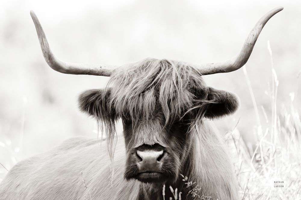 Highland Meadow Portrait BW art print by Nathan Larson for $57.95 CAD