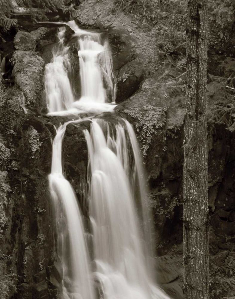 Kentucky Falls art print by Lisa Audit for $57.95 CAD