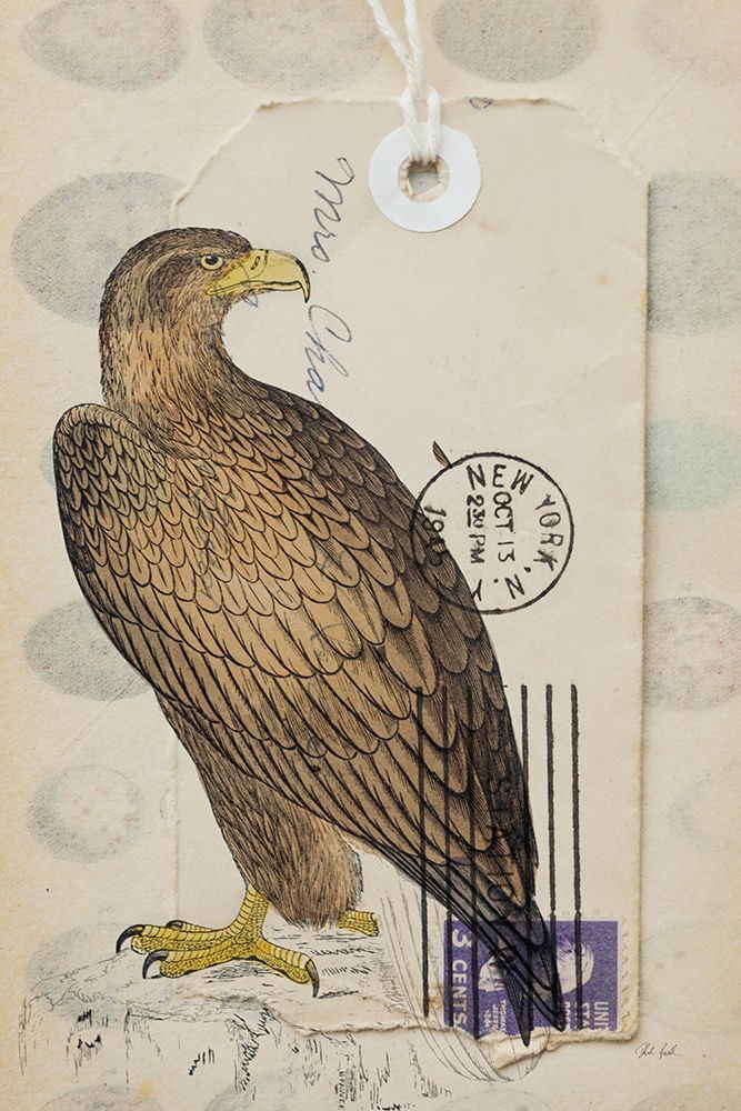 American Hawk art print by Deborah Revell for $57.95 CAD