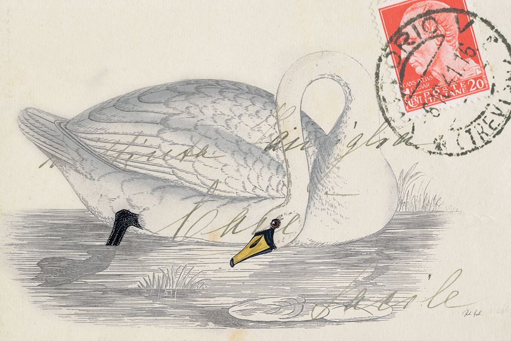 Vintage Swan art print by Deborah Revell for $57.95 CAD