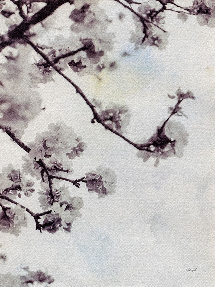 Subtle Blossom art print by Deborah Revell for $57.95 CAD