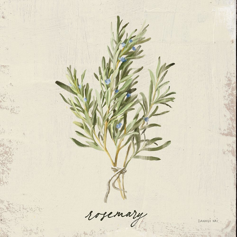 Rustic Herbs II Neutral art print by Danhui Nai for $57.95 CAD