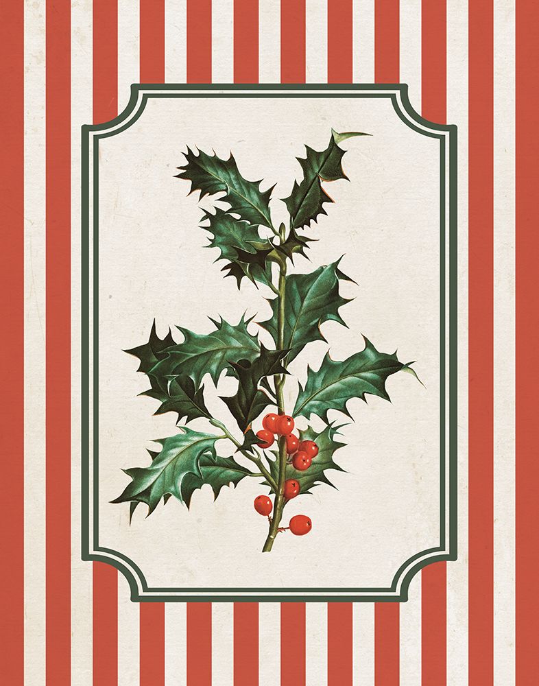 Christmas Vintage Botanical I art print by Wild Apple Portfolio for $57.95 CAD