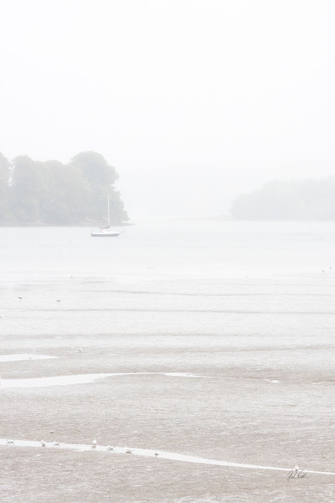 Misty Morning I art print by Deborah Revell for $57.95 CAD