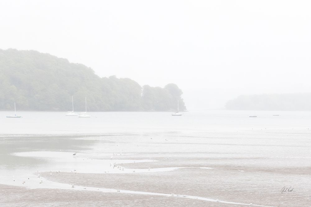 Misty Morning II art print by Deborah Revell for $57.95 CAD