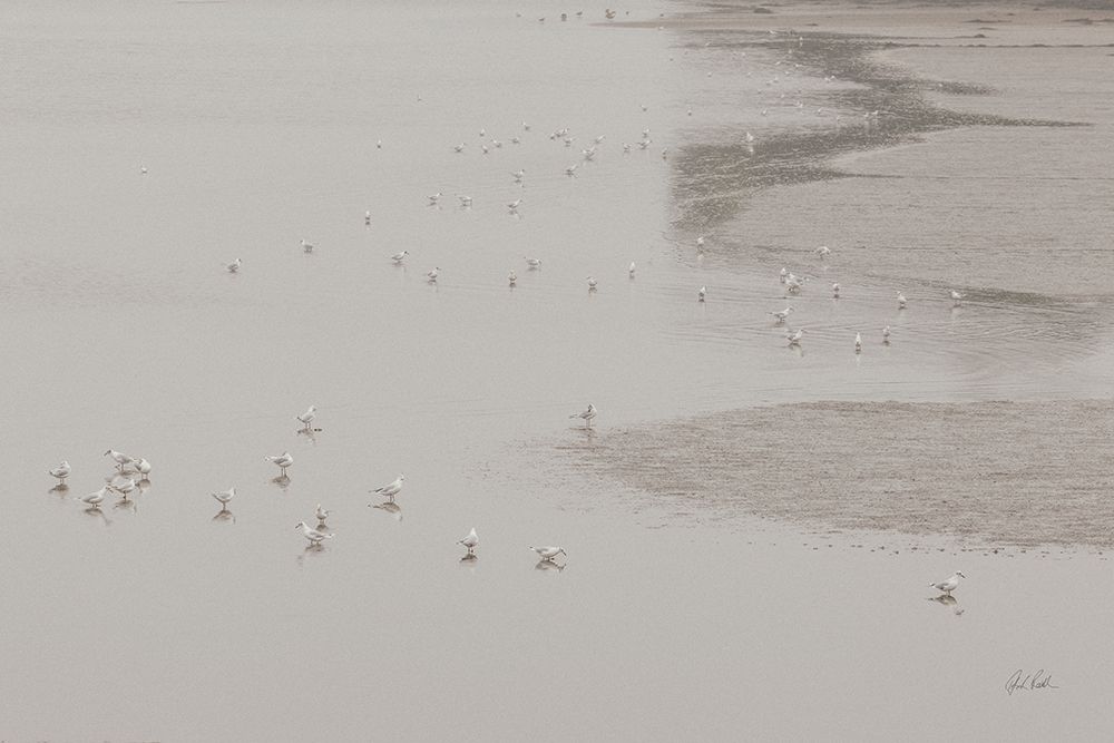 Birds in the Mist art print by Deborah Revell for $57.95 CAD