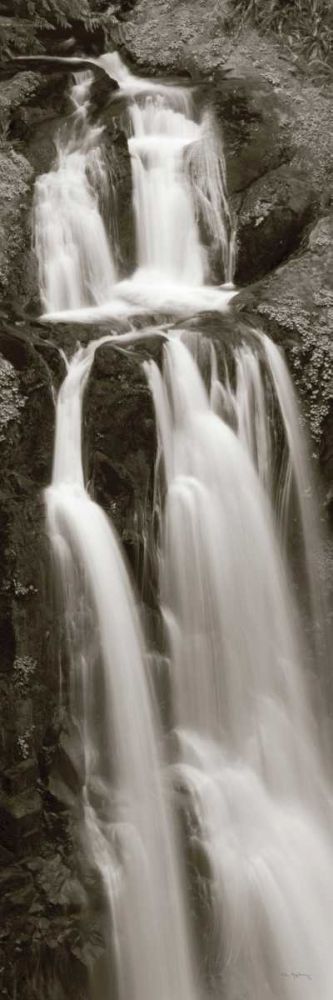 Kentucky Falls Panel art print by Lisa Audit for $57.95 CAD