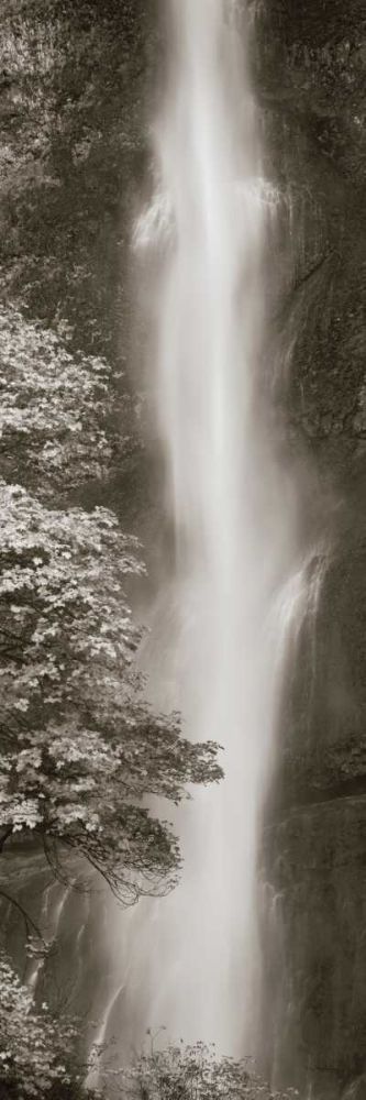 Multnomah Falls Panel art print by Lisa Audit for $57.95 CAD