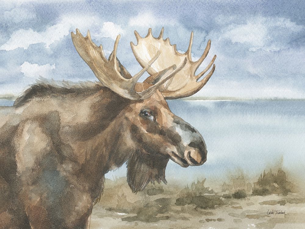 Moose by Lake art print by Leslie Trimbach for $57.95 CAD