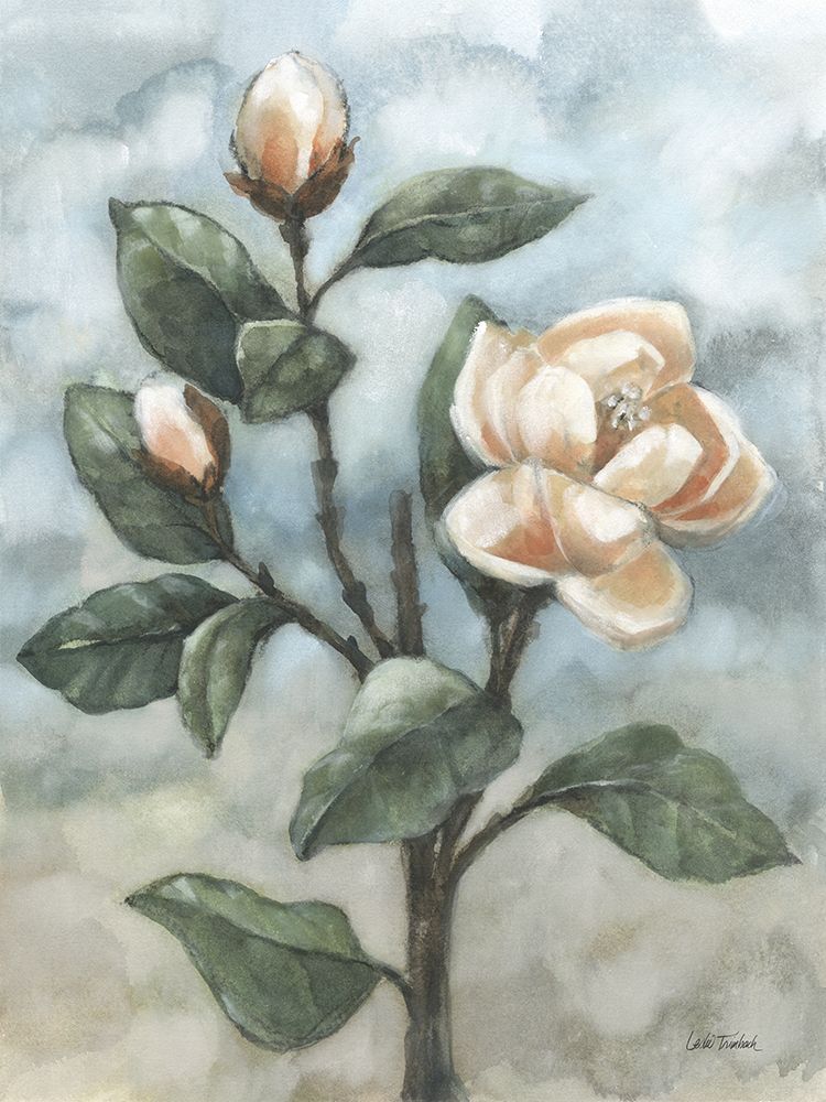 Magnolia Branch art print by Leslie Trimbach for $57.95 CAD