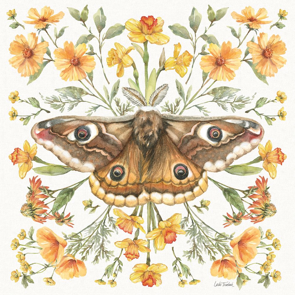 Moth Art I art print by Leslie Trimbach for $57.95 CAD