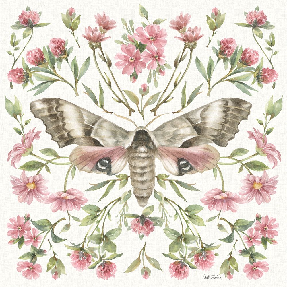 Moth Art II art print by Leslie Trimbach for $57.95 CAD