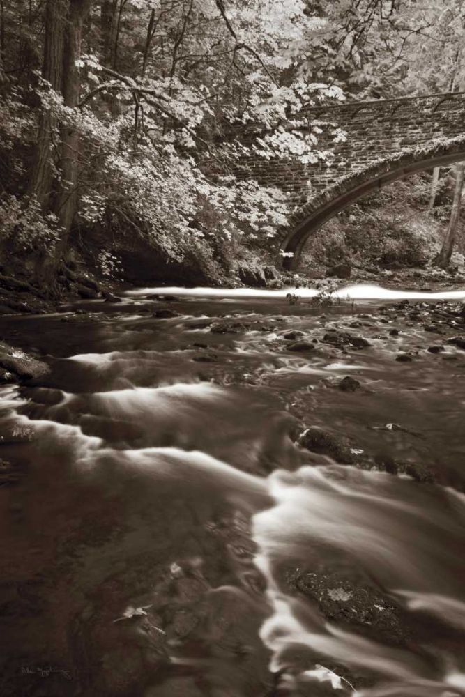Whatcom Creek art print by Lisa Audit for $57.95 CAD