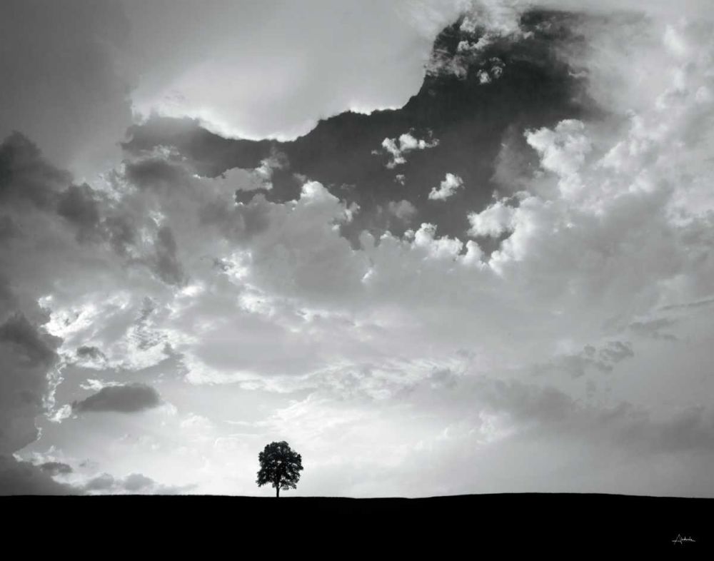 Lone Tree art print by Aledanda for $57.95 CAD
