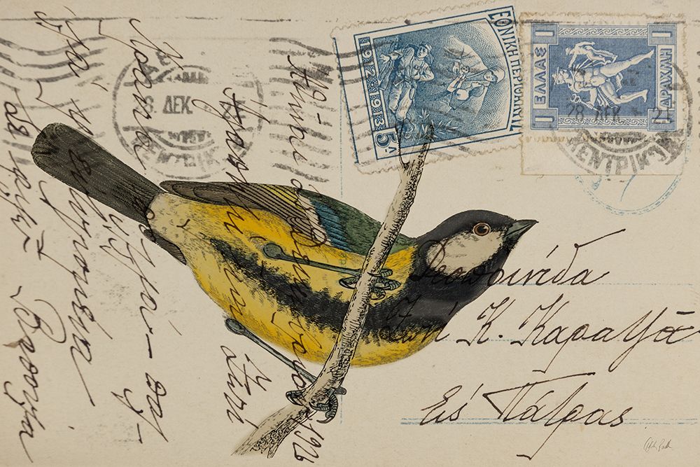 Great Tit art print by Deborah Revell for $57.95 CAD