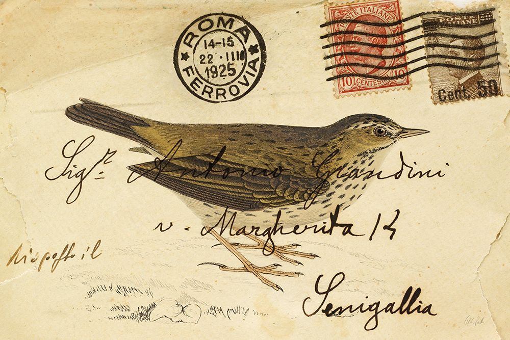 Meadow Pipit art print by Deborah Revell for $57.95 CAD