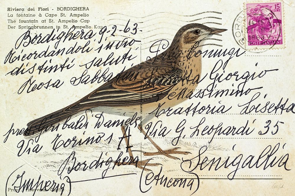 Richards Pipit art print by Deborah Revell for $57.95 CAD