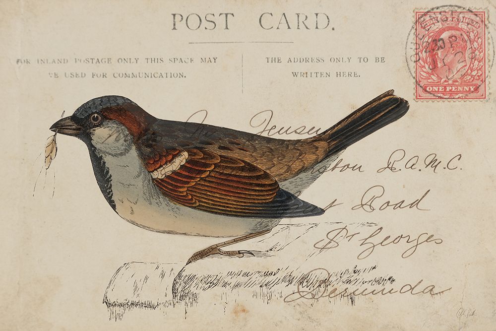 Sparrow art print by Deborah Revell for $57.95 CAD