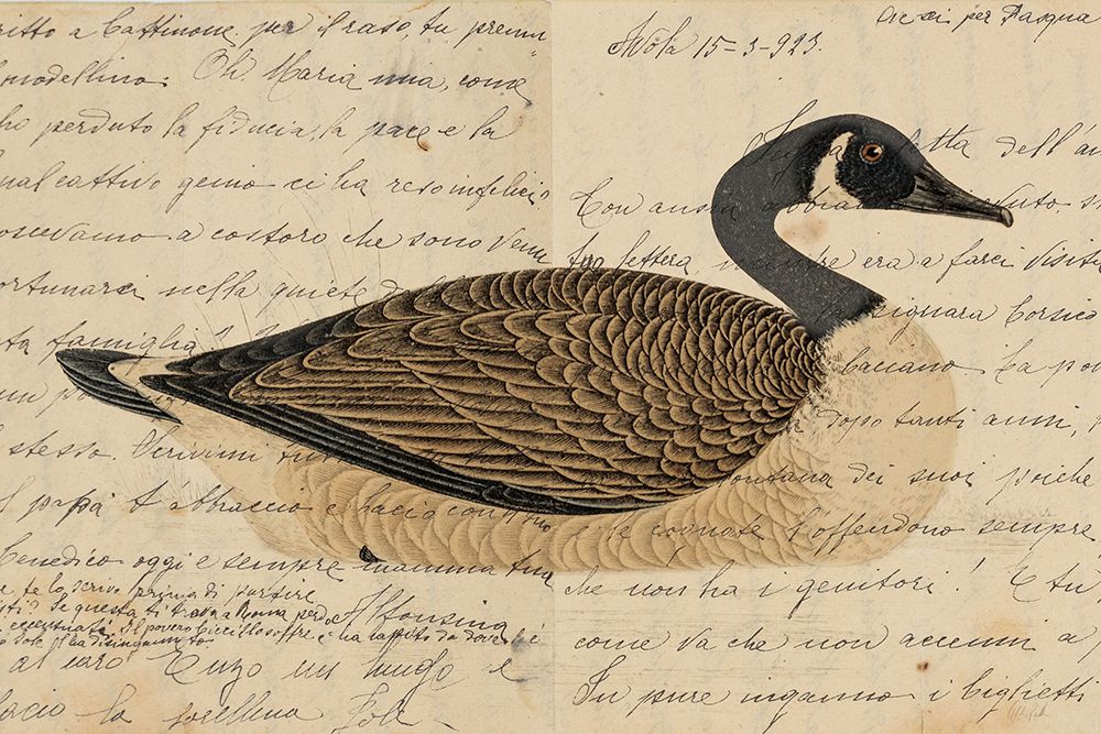 Canada Goose art print by Deborah Revell for $57.95 CAD