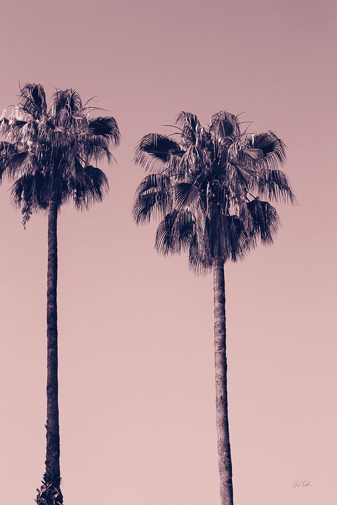 Pink Palms III art print by Deborah Revell for $57.95 CAD