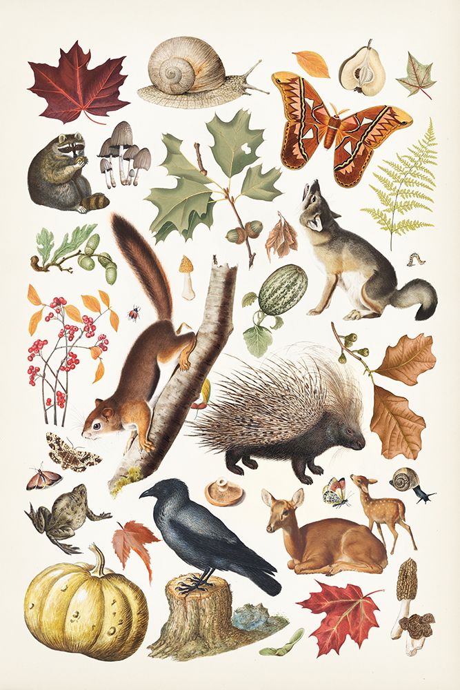 Autumn Chart I art print by Wild Apple Portfolio for $57.95 CAD