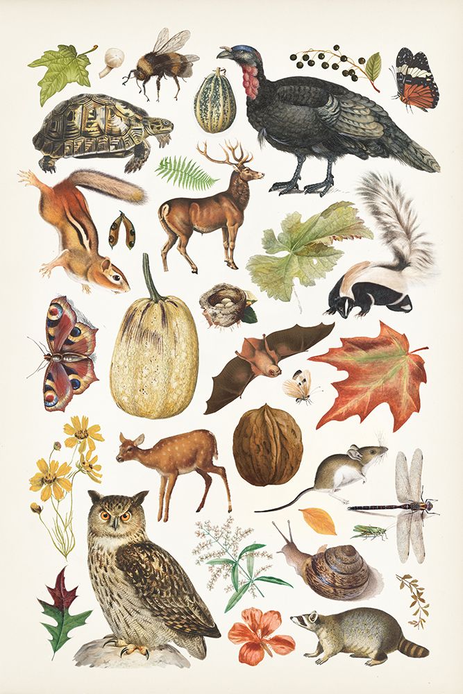 Autumn Chart II art print by Wild Apple Portfolio for $57.95 CAD