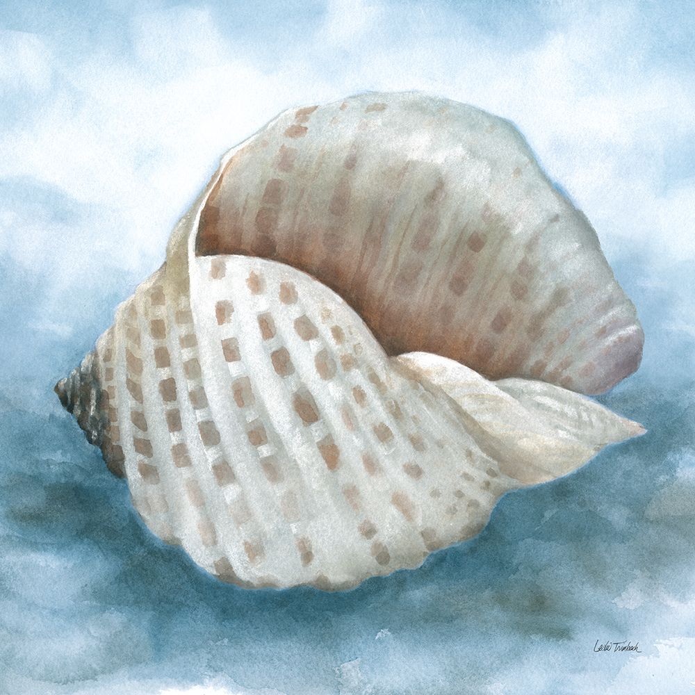Coastal Calm III art print by Leslie Trimbach for $57.95 CAD