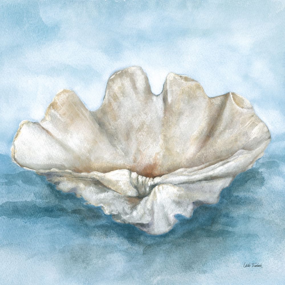 Coastal Calm IV art print by Leslie Trimbach for $57.95 CAD