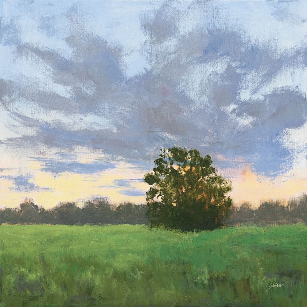 Tree at Sunset art print by Carson Overstreet for $57.95 CAD