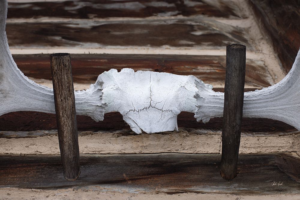 Moose Antler I art print by Deborah Revell for $57.95 CAD