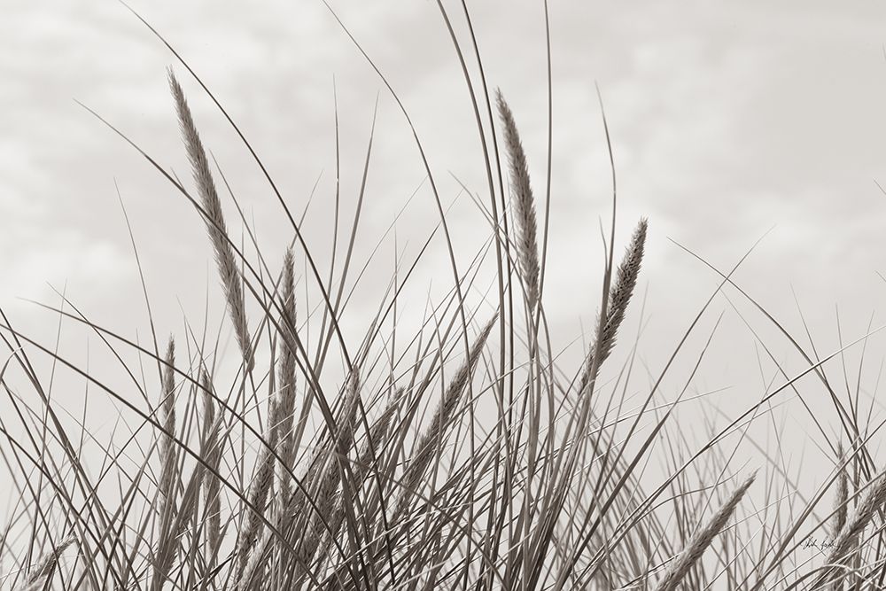 Tidegrass II art print by Deborah Revell for $57.95 CAD