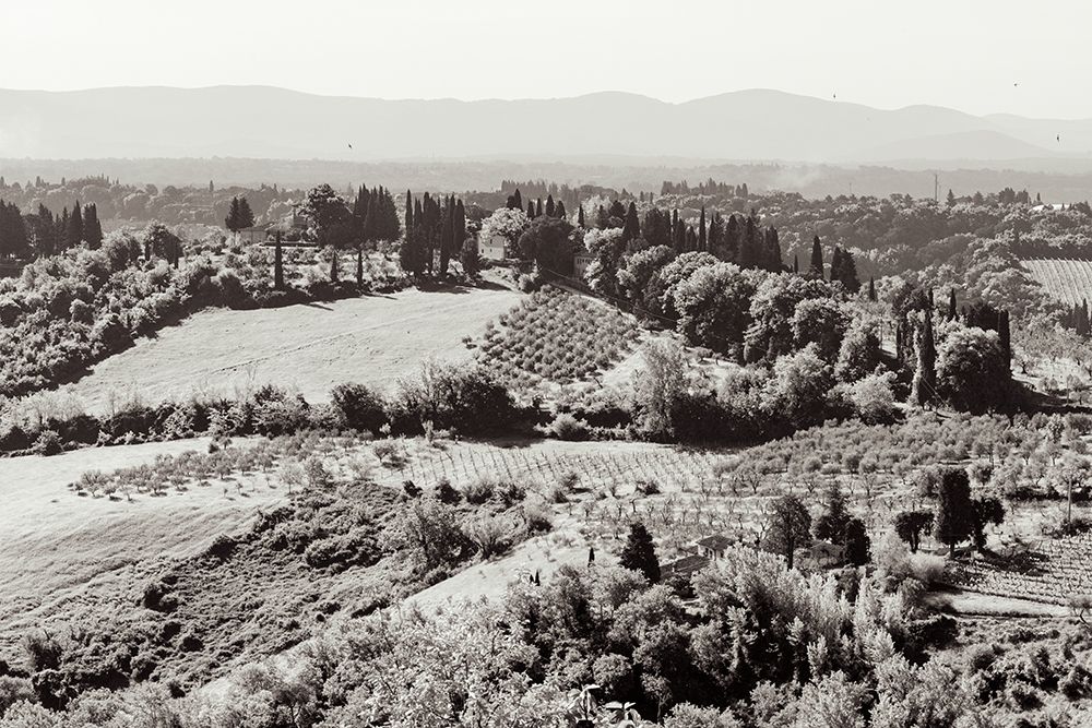 Tuscan Hills I art print by Deborah Revell for $57.95 CAD