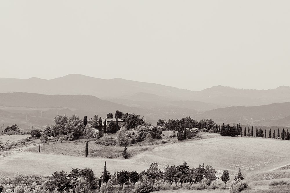 Tuscan Hills II art print by Deborah Revell for $57.95 CAD