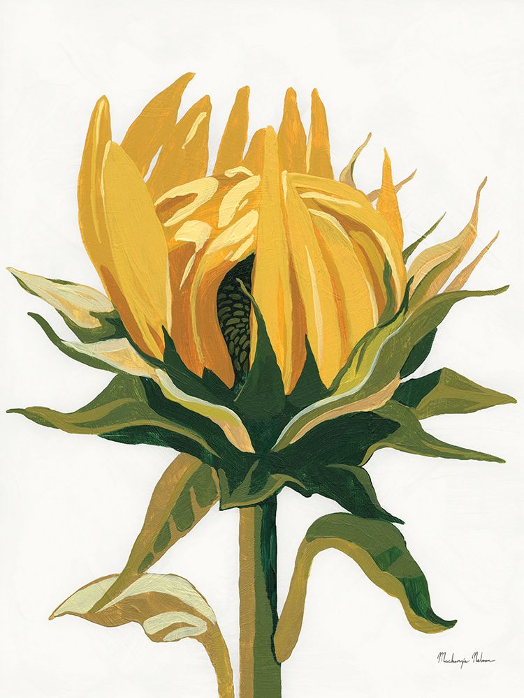 September Sunflowers I art print by Mackenzie Nelson for $57.95 CAD