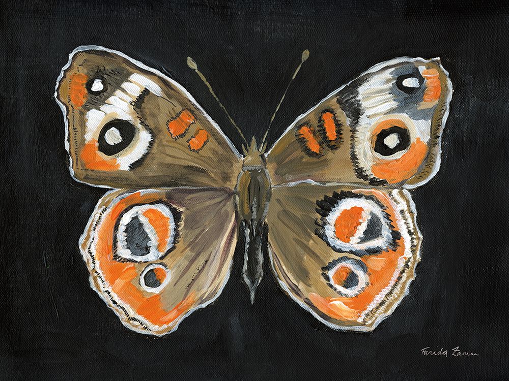 Bold Butterfly I art print by Farida Zaman for $57.95 CAD