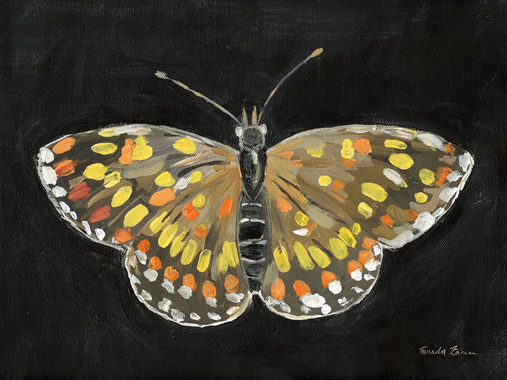 Bold Butterfly II art print by Farida Zaman for $57.95 CAD