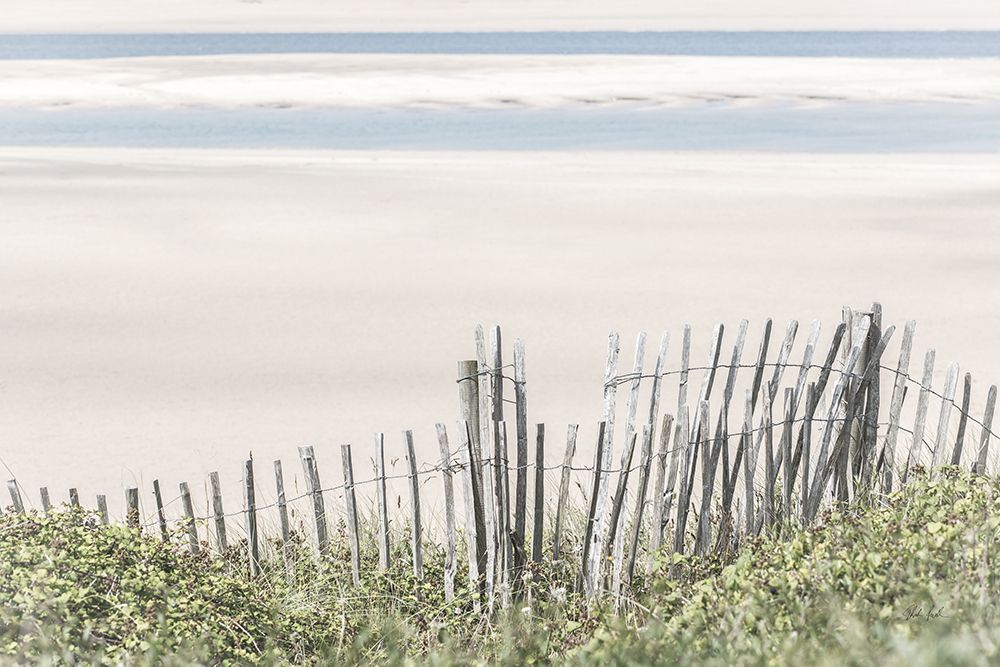 Coastal Fence I art print by Deborah Revell for $57.95 CAD