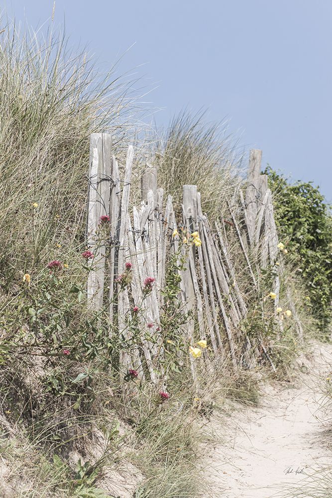Coastal Fence II art print by Deborah Revell for $57.95 CAD