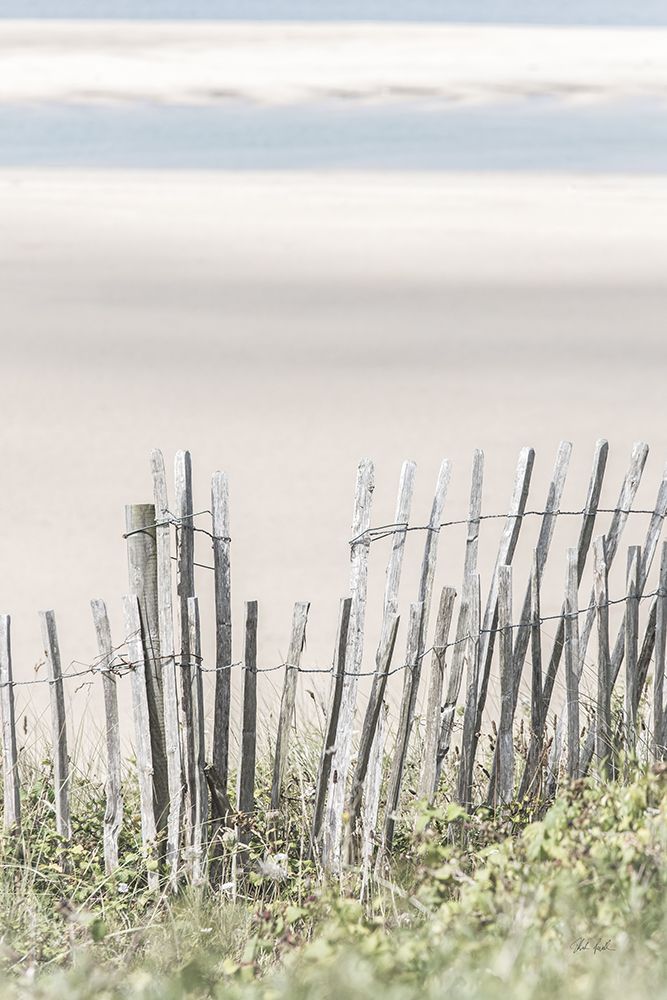 Coastal Fence III art print by Deborah Revell for $57.95 CAD