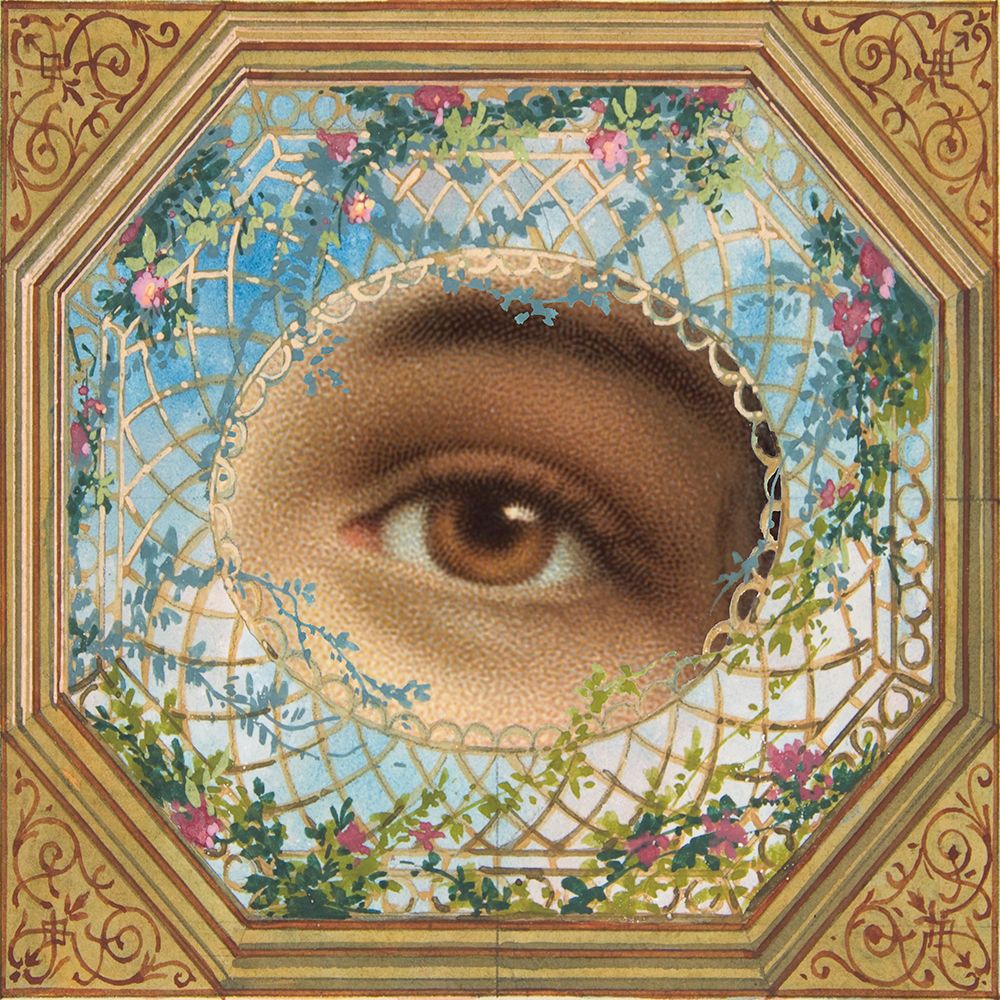 Eyes Are Watching II art print by Wild Apple Portfolio for $57.95 CAD