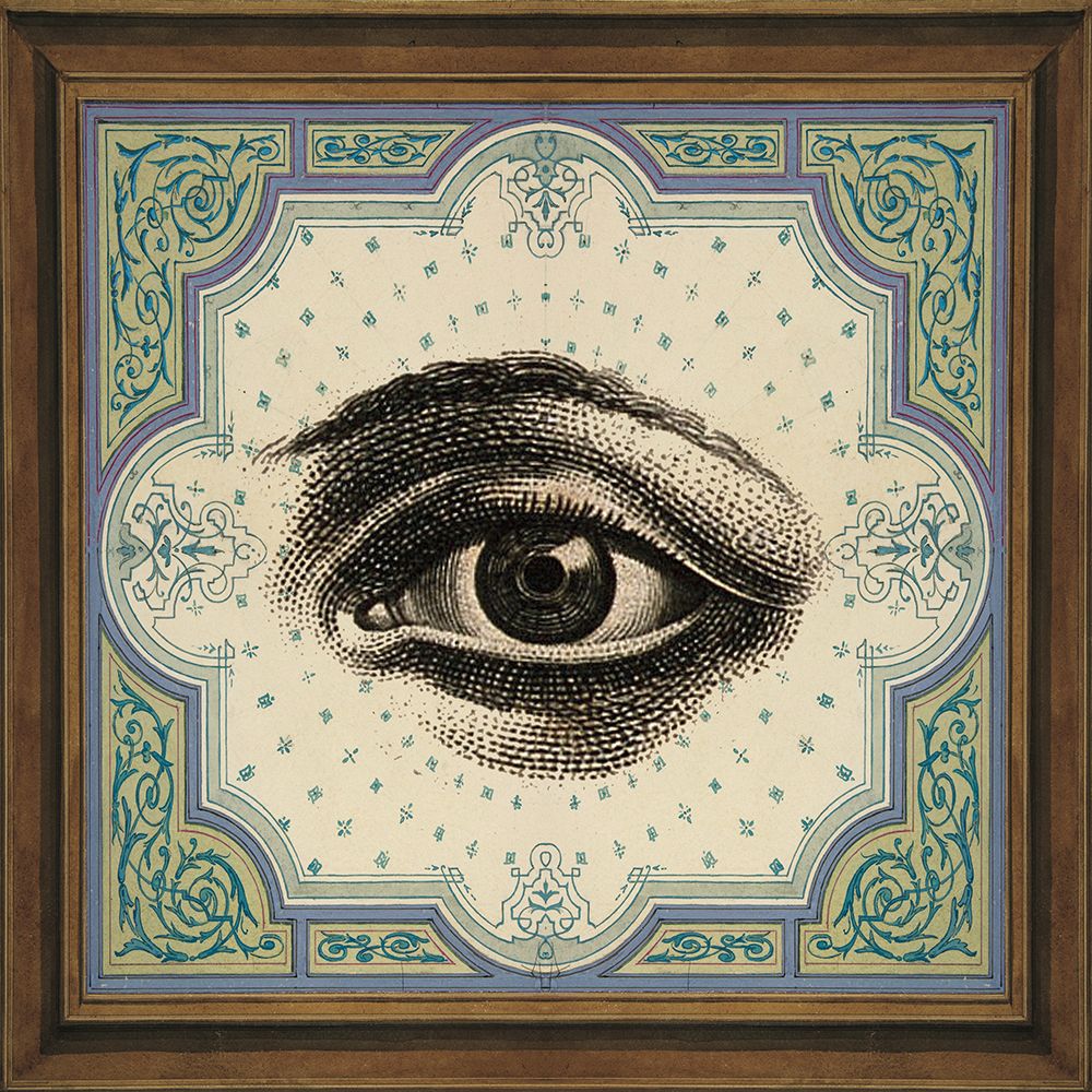 Eyes Are Watching V art print by Wild Apple Portfolio for $57.95 CAD