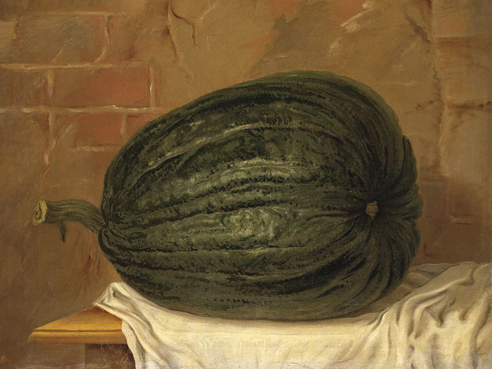 A Huge Pumpkin art print by Wild Apple Portfolio for $57.95 CAD
