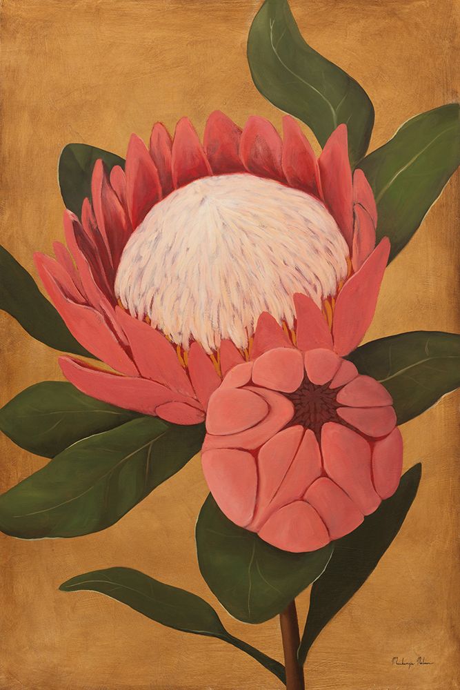 Bloomed art print by Mackenzie Nelson for $57.95 CAD