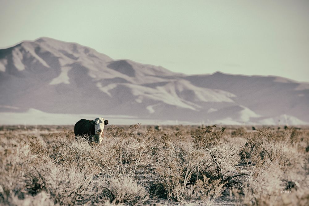Going it Alone I art print by Nathan Larson for $57.95 CAD