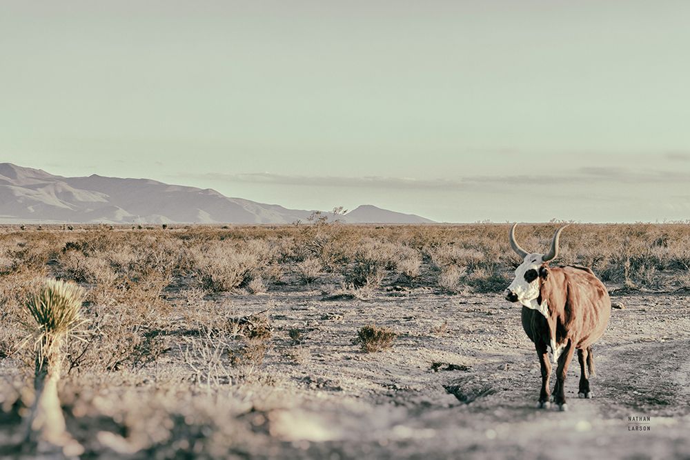 Going it Alone II art print by Nathan Larson for $57.95 CAD