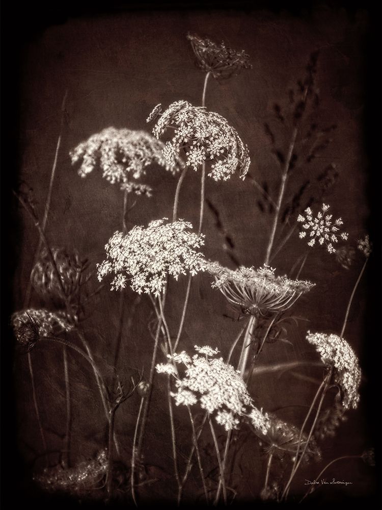 Delicate Lace I art print by Debra Van Swearingen for $57.95 CAD